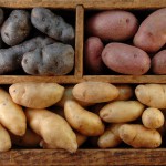 Ученый-объяснил,-картошка-какого-цвета-и-размера-вреднее-всего